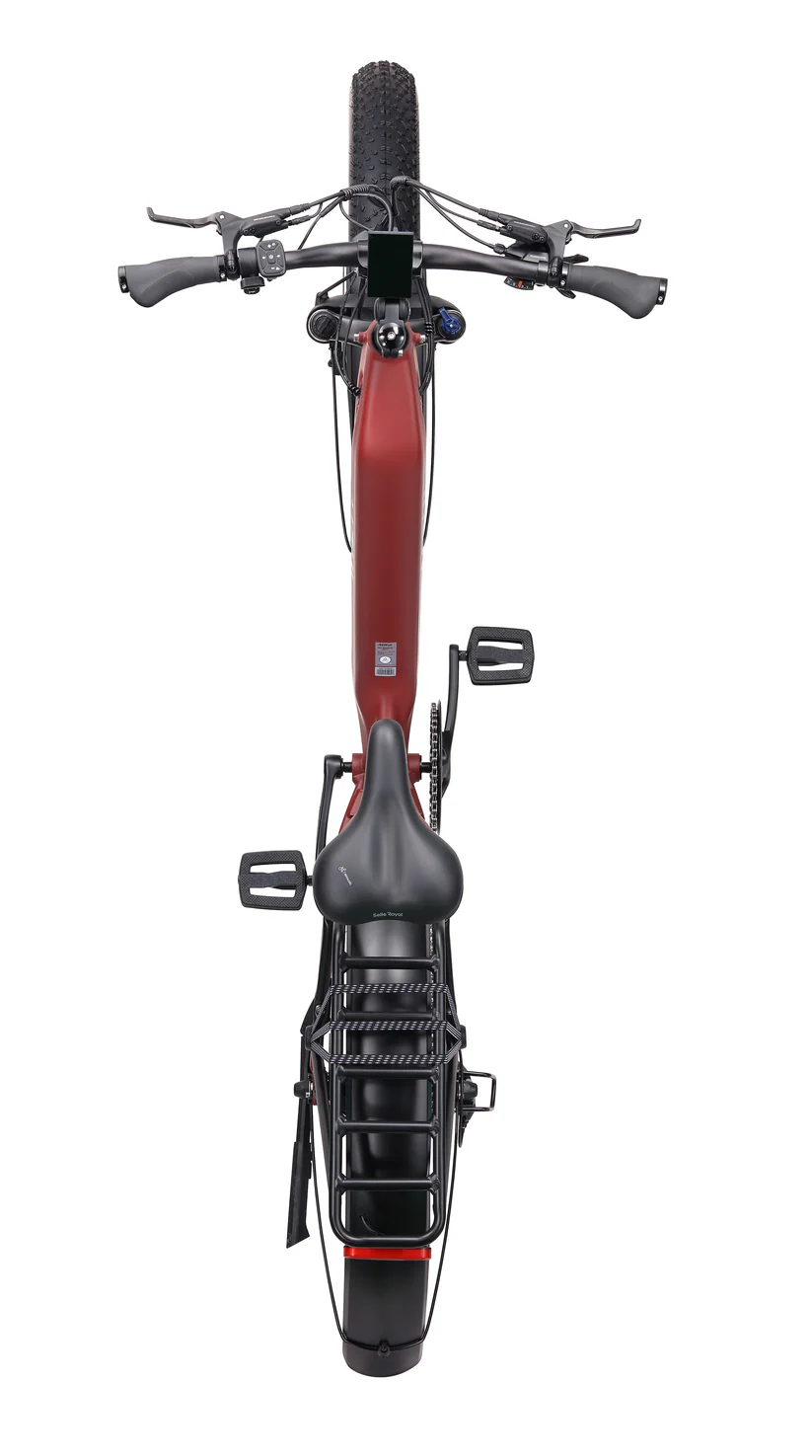 Step Thru Fat Bronte 